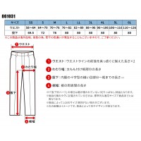 【2024春夏新作】 AITOZ ホッピングパンツ(男女兼用) 通年用 年間用 ユニセックス 861031 アイトス 作業着 SS-6L